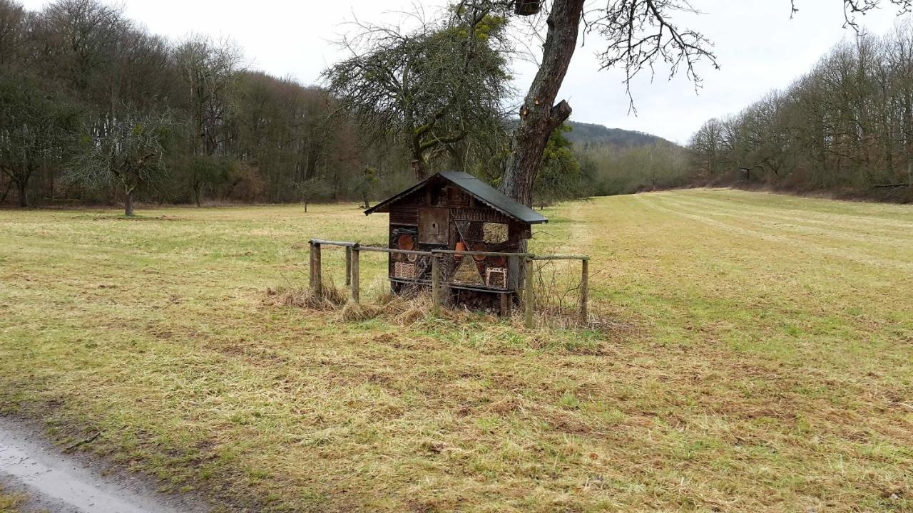 Haus Mit Seele Im Nahetal Weinsheim  Luaran gambar