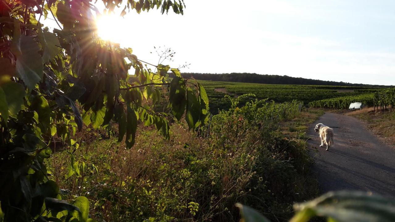 Haus Mit Seele Im Nahetal Weinsheim  Luaran gambar