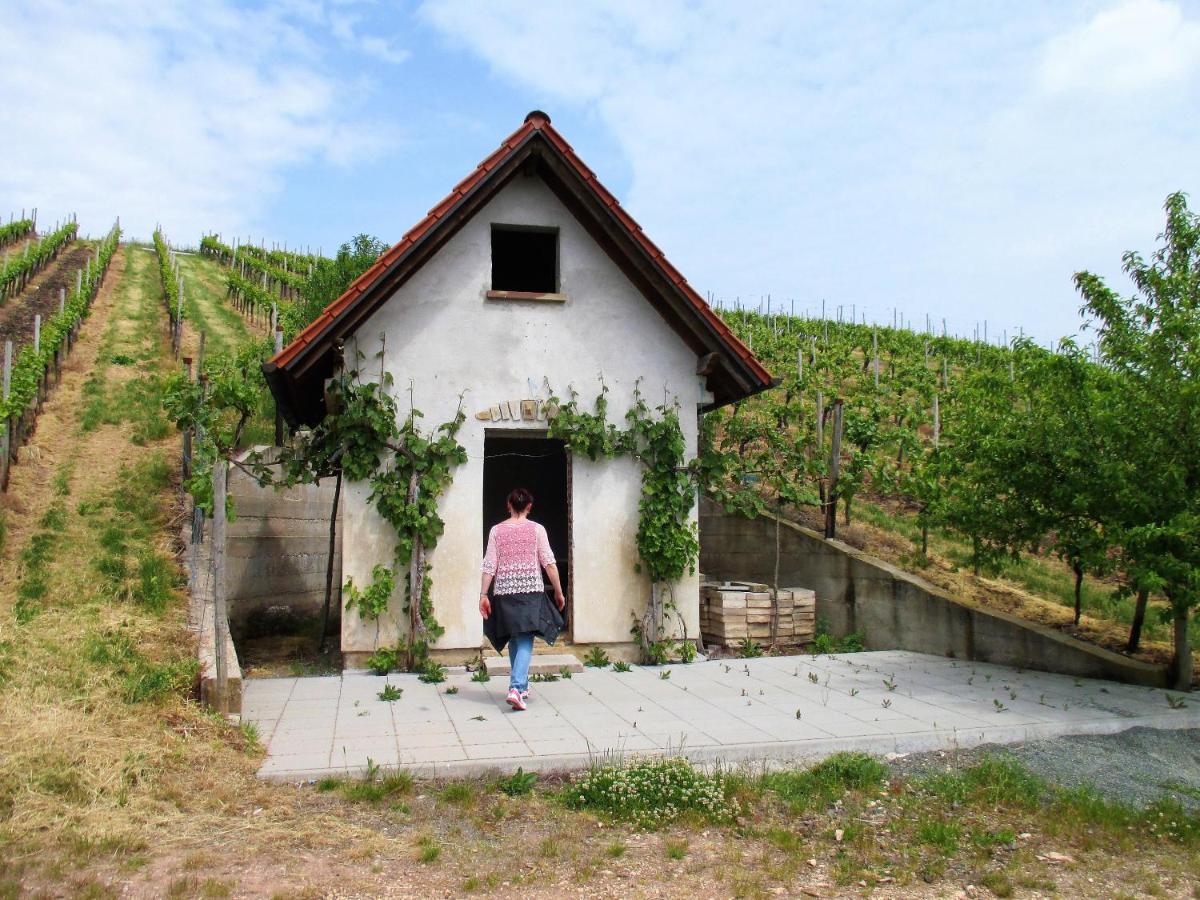Haus Mit Seele Im Nahetal Weinsheim  Luaran gambar