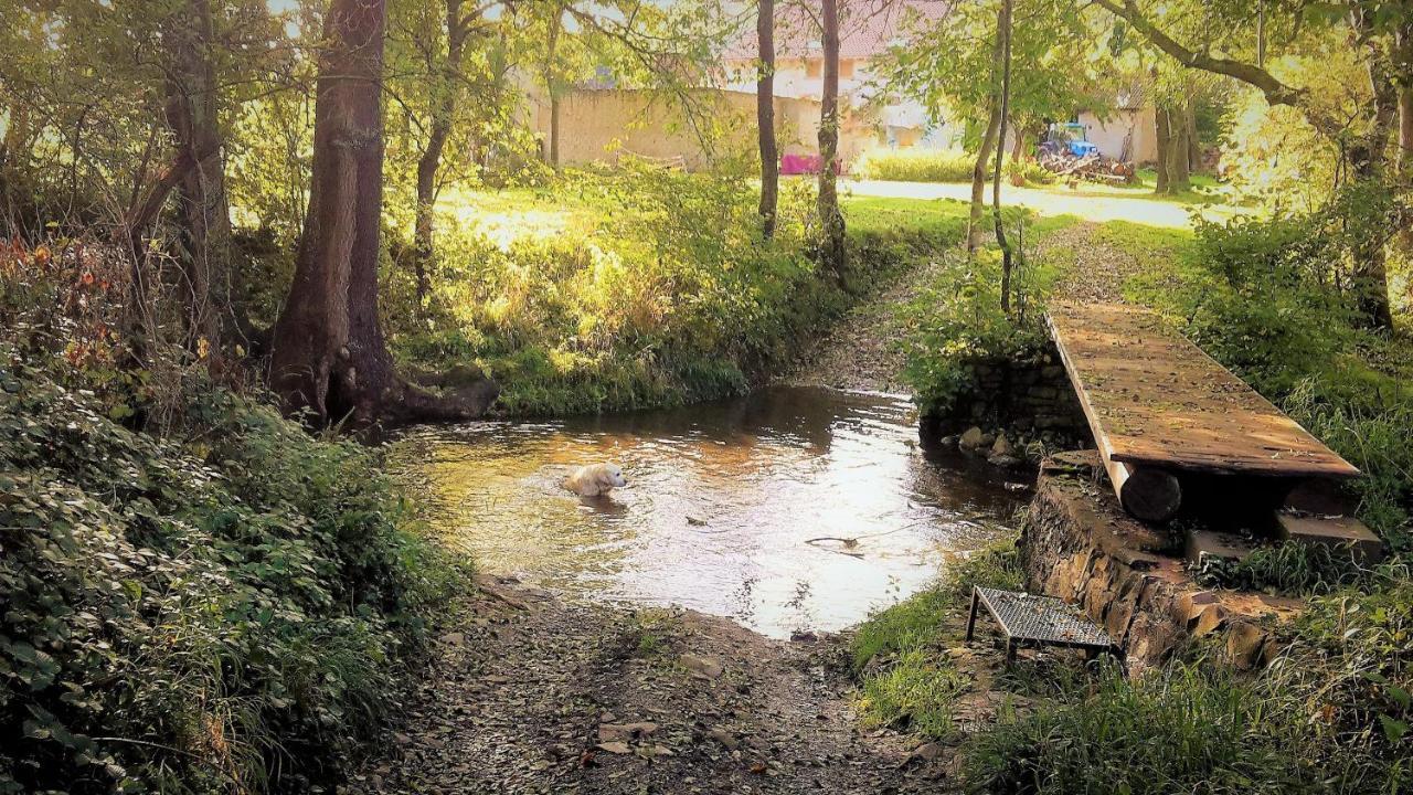 Haus Mit Seele Im Nahetal Weinsheim  Luaran gambar