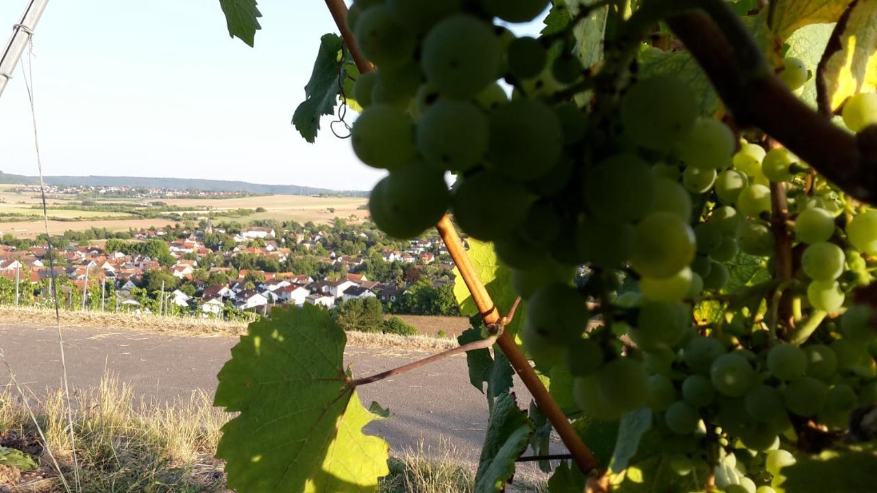 Haus Mit Seele Im Nahetal Weinsheim  Luaran gambar